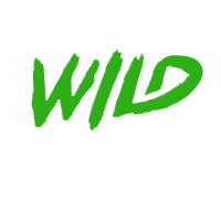 Contact Us Reputable On-line Slot Provider