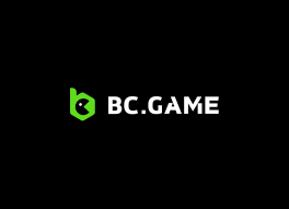 Understanding BC.Game General Terms and Conditions -1006772028