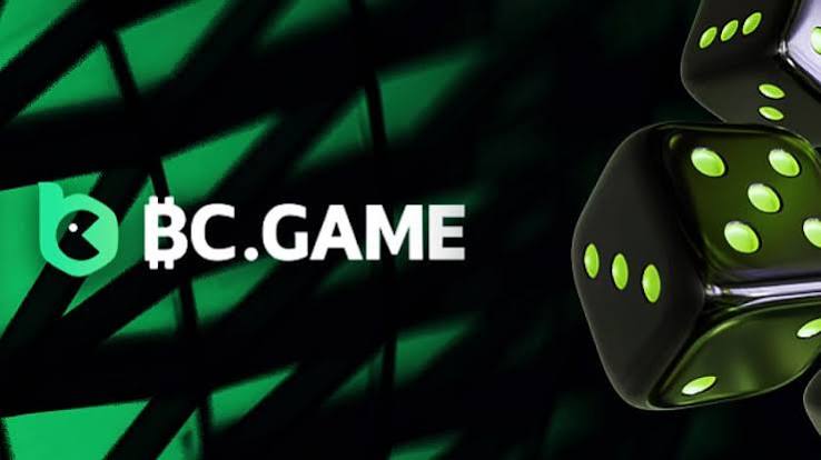 Exploring BC.Game Mirror Sites A Guide to Safe Gaming